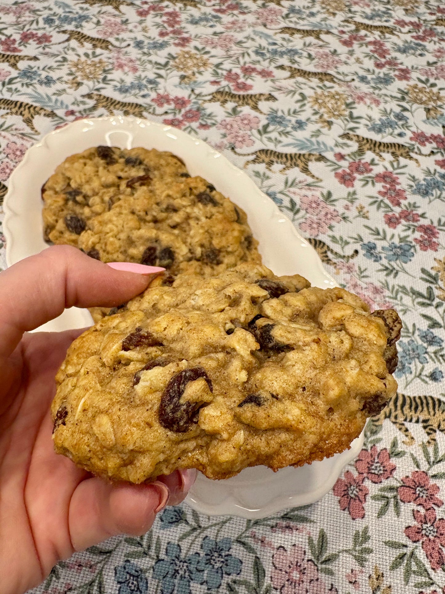 oatmeal raisin cookies