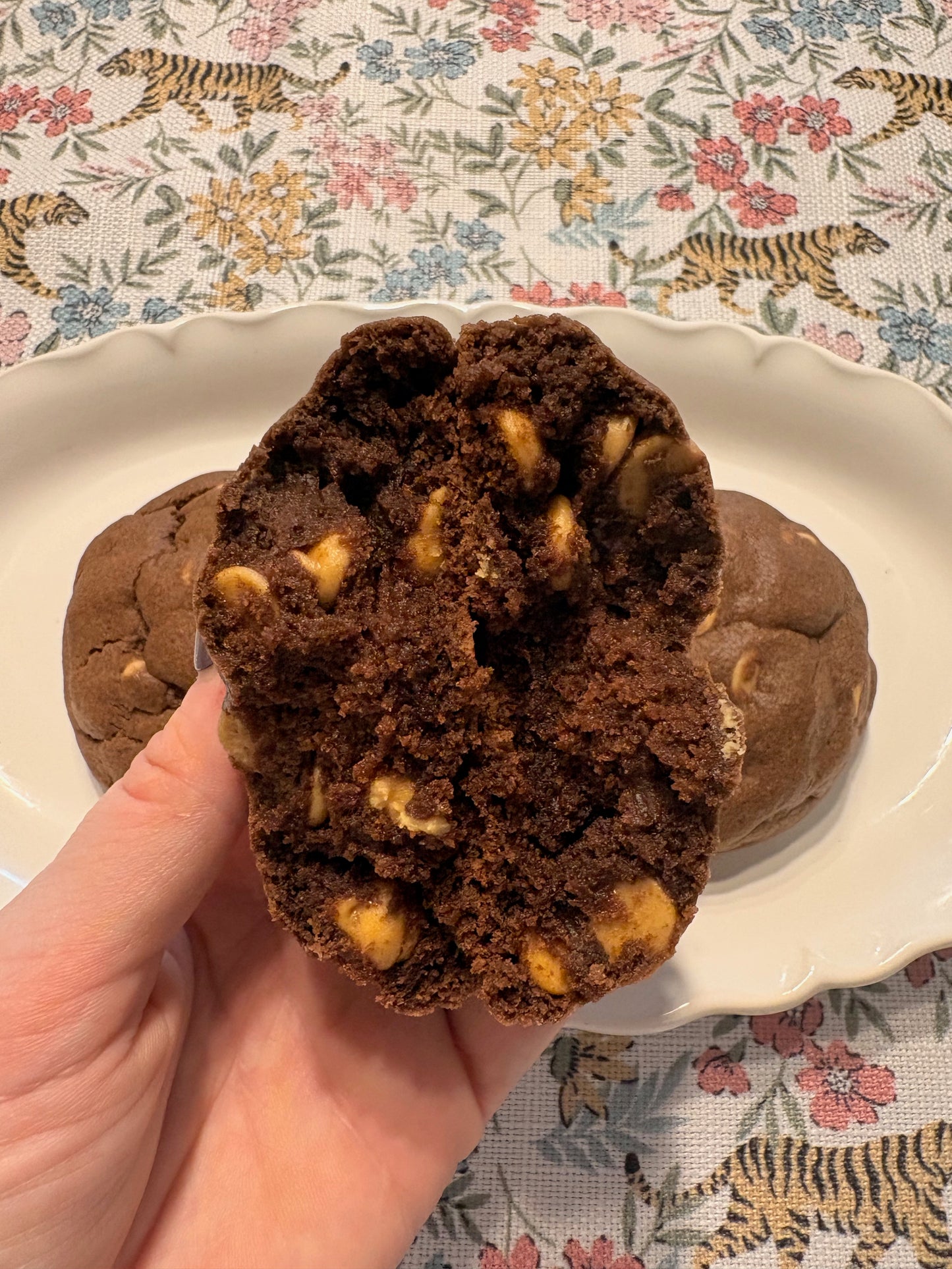 chocolate + peanut butter chip